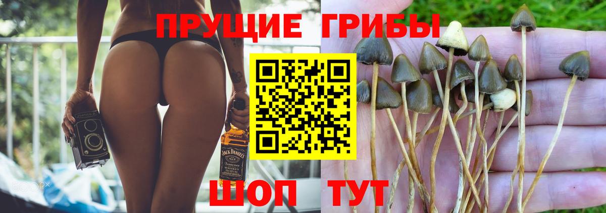 Галлюциногенные грибы GOLDEN TEACHER  Галлюциногенные грибы Cubensis  Борисоглебск  даркнет сайт  Вход с VPN 